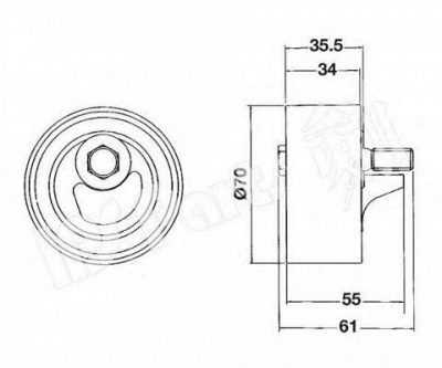 IPS PARTS itb6700 -  Устройство для натяжения ремня, ремень ГРМ